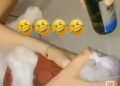 Heboh dan Geger di Media Sosial Video Viral: Tiga Wanita di Bukittinggi Cekoki Kucing dengan Miras