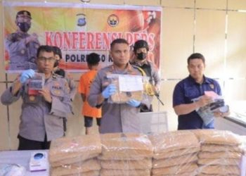 Polres 50 Kota Berhasil Amankan 49 Paket Ganja dari Jaringan Nusa Kambangan