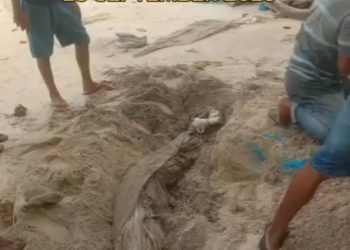 Viral di Media Sosial Sejumlah Mayat Keluar dari Kuburan di Pasaman Barat