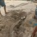 Viral di Media Sosial Sejumlah Mayat Keluar dari Kuburan di Pasaman Barat