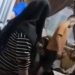 Viral Video Ribut-ribut Berujung Dugaan Penganiayaan di Sawahlunto, Disebut Gegara Utang Piutang
