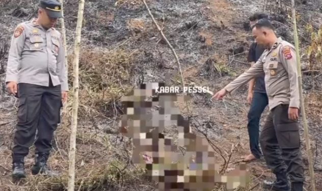 Tragedi Kebakaran Ladang Gambir di Siguntur Tuo, Pemilik Lahan Meninggal Dunia Saat Membersihkan Lahanya