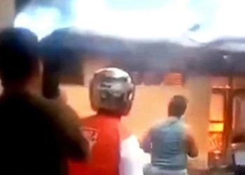 Lakukan Pencarian Pekerja Tol yang Tenggelam, Tim Gabungan Malah Temukan Buaya