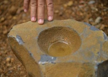 Lakukan Pencarian Pekerja Tol yang Tenggelam, Tim Gabungan Malah Temukan Buaya