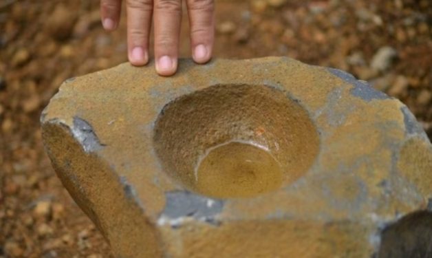 Lakukan Pencarian Pekerja Tol yang Tenggelam, Tim Gabungan Malah Temukan Buaya