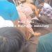 Razia Pekat di Pasaman Barat, Petugas Gabungan Temukan 50 Liter Tuak