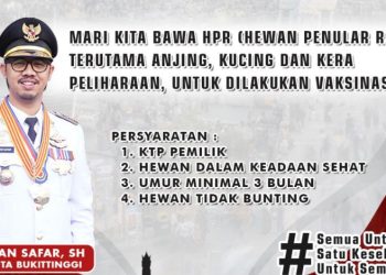 Bukittinggi Akan Laksanakan Vaksinasi Rabies Massal Gratis