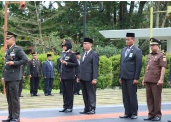 Marfendi Ungkapkan Tantangan Saat Ini, Pada Upacara Hari Pahlawan ke-78 dan Hari Kesehatan Nasional ke-59