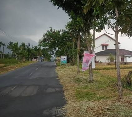 Ratusan Baliho Caleg di Agam Ditertibkan Banyak Terpasang di Pohon Pelindung