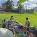 Ungkap Kasus Narkotika, Sat Narkoba Polres Payakumbuh Tangkap Tiga Orang Tersangka