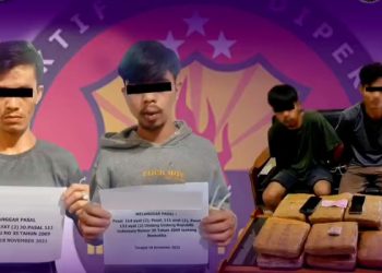 Kirim Paket Ganja Melalui Jasa Pengiriman, Dua Orang Warga Situjuah di Tetapkan Tersangka Diamankan Sat Narkoba Polres Payakumbuh
