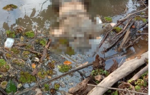 Geger Pria Paruh Baya Ditemukan Meninggal Mengambang di Sungai Pasaman Barat