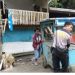 Satu Korban Meninggal Akibat Longsor Batu Tebing di Agam
