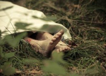Geger Petani Ditemukan Meninggal Dunia di Kebun Sawit di Pasaman Barat