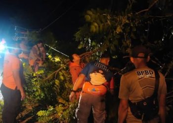 Kecelakaan Maut di Padang Pariaman, Pelajar Tewas Usai Tabrak Truk