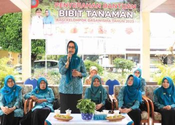 Tekan Angka Inflasi, Pj. TP-PKK Kota Payakumbuh Ny. Lasta Jasman Serahkan Bantuan Bibit Tanaman