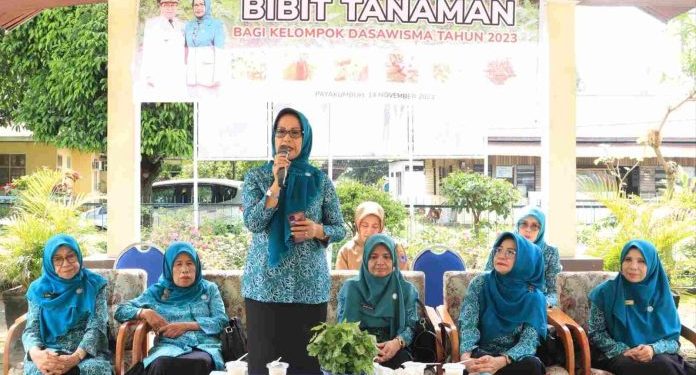 Tekan Angka Inflasi, Pj. TP-PKK Kota Payakumbuh Ny. Lasta Jasman Serahkan Bantuan Bibit Tanaman