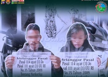 Penangkapan Pelaku Penyalahgunaan Narkotika Golongan I di Wilayah Hukum Polres 50 Kota
