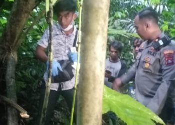 Pengumuman Hasil Tes Tenaga Kesehatan Puskesmas di Pesisir Selatan Diduga Curang, Begini Respon Bupati