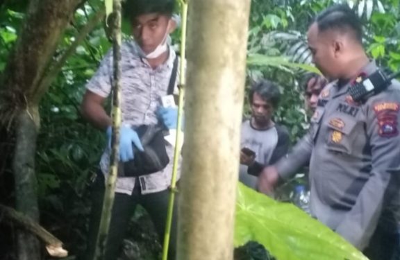 Pengumuman Hasil Tes Tenaga Kesehatan Puskesmas di Pesisir Selatan Diduga Curang, Begini Respon Bupati