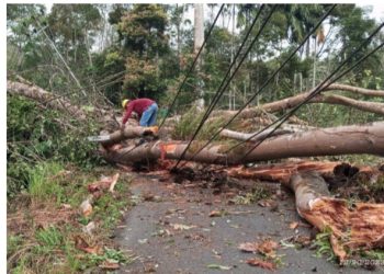 Bawaslu di Pesisir Selatan Memproses ASN Terkait Pelanggaran Netralitas
