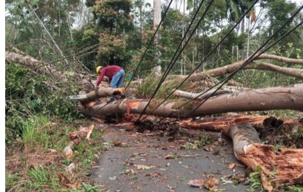 Bawaslu di Pesisir Selatan Memproses ASN Terkait Pelanggaran Netralitas