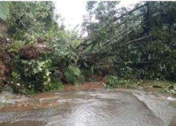 Longsor Merusak Akses Jalan di Kabupaten Agam