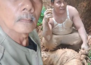 INFO SEMENTARA : Insiden Longsor di Nagari Koto Alam, Sumatera Barat, Menewaskan Satu Orang