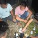 Kebakaran Melanda Bengkel di Agam dengan Kerugian Capai Rp200 Juta