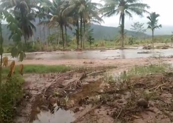 Viral Tragedi Tabrak Lari di Padang Pariaman: Ibu Korban Berharap Pelaku Ditangkap