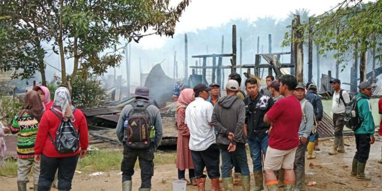 Dua Bulan Bebas, Residivis Narkoba Kembali Diringkus Tim Buser Narkoba Polres Payakumbuh