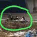 Nekat, Seorang Mahasiswa Universitas Terkemuka di Padang Tertangkap Polisi Terlibat Kasus Narkoba
