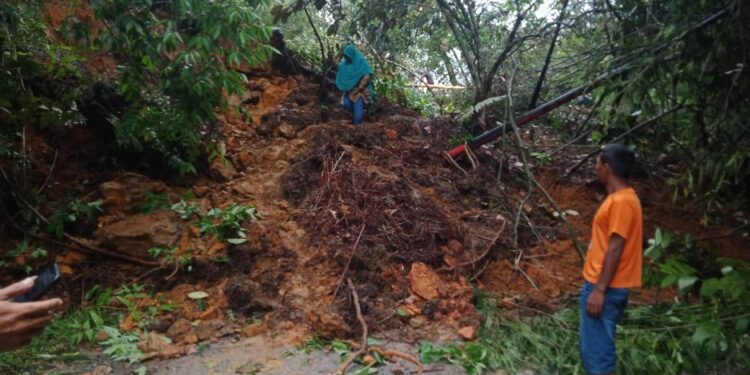 Warga Pasaman Barat Ditangkap di Agam Terkait Penyalahgunaan Narkoba