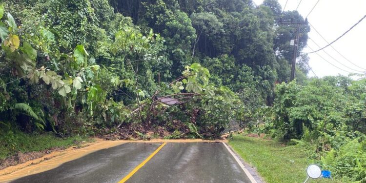 Remaja di Pariaman Ditangkap karena Pembacokan Brutal Terhadap Warga, Enam Pelaku Sudah Diamankan Polisi