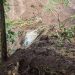 Warga di Laporkan Tertimbun Longsor di Solok Selatan, Tim SAR Gabungan Lakukan Pencarian
