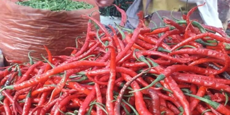 Kenaikan Harga Cabai Merah di Padang