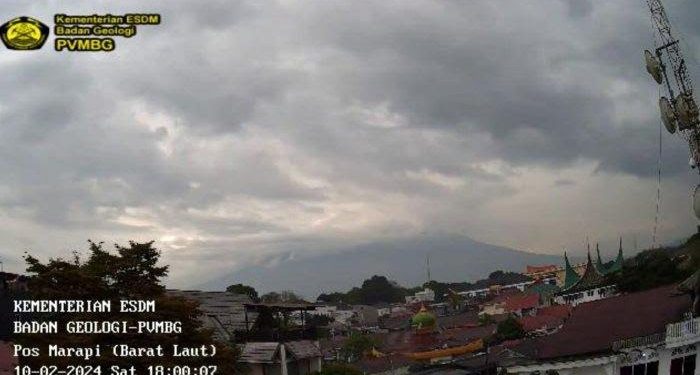 Tiga Pohon Tumbang di Padang Akibat Hujan Deras dan Angin Kencang