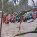 Banjir di Nagari Cupak Solok: Hujan Deras Rendam Rumah Warga dan Sebabkan Kemacetan