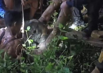 Seorang Warga yang Terjatuh ke Sumur di Limapuluh Kota : Begini Kondisinya Sekarang