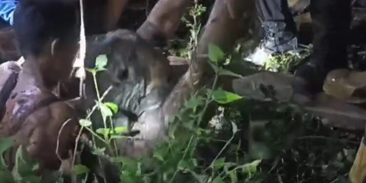Seorang Warga yang Terjatuh ke Sumur di Limapuluh Kota : Begini Kondisinya Sekarang