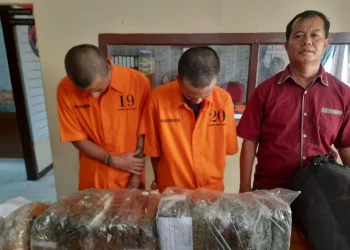Penangkapan Dua Pengedar Ganja dengan Total 25 Kilogram oleh Polresta Bukittinggi