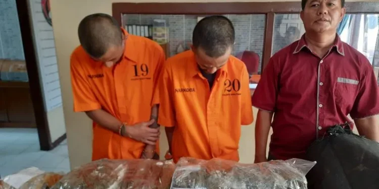 Penangkapan Dua Pengedar Ganja dengan Total 25 Kilogram oleh Polresta Bukittinggi