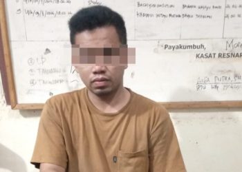 Penangkapan Dua Pengedar Ganja dengan Total 25 Kilogram oleh Polresta Bukittinggi
