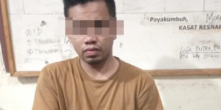 Penangkapan Dua Pengedar Ganja dengan Total 25 Kilogram oleh Polresta Bukittinggi