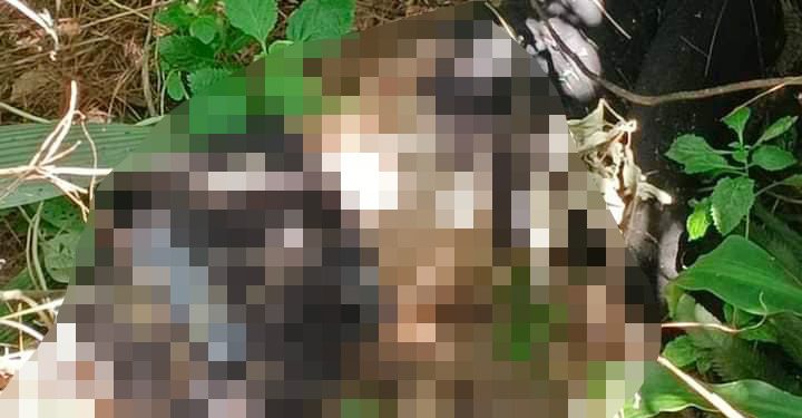 Ledakan Terjadi di Gudang Munisi Daerah (Gudmurah) Kodam Jaya TNI AD