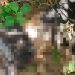 Ledakan Terjadi di Gudang Munisi Daerah (Gudmurah) Kodam Jaya TNI AD