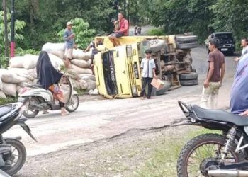 Truk Muatan Sekam Padi Terguling di Jalur Payakumbuh-Lintau
