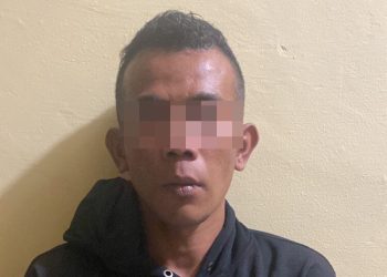 PDIP Ajukan Gugatan ke PTUN, Desak Penarikan Hasil Penetapan Pilpres