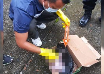 Maraknya Penipuan Daring di Padang Menyulitkan Polisi