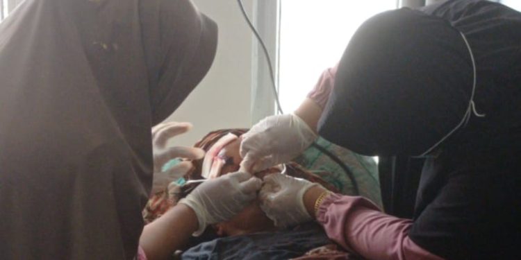 Peristiwa Naas: Warga Solok Diserang Beruang Saat Pulang dari Kebun